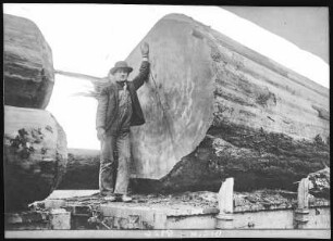 Vancouver, Washington. Clarke County, Fire logs at Vancouver