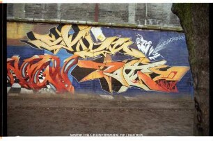 SKeR Reks MaNE | KRÄNKS GO FUNKY