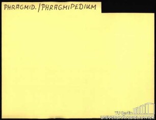 98: PHR-PIM