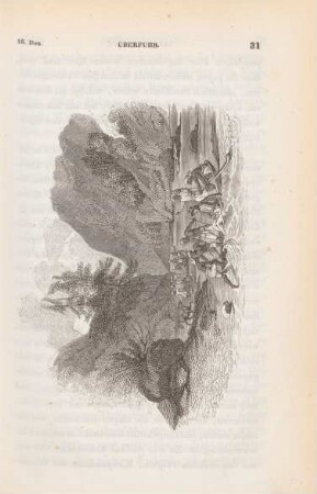 Überfuhr