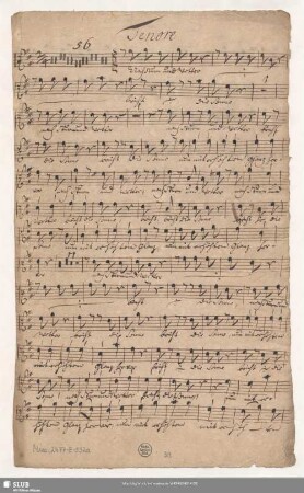 Tenore [Ripieno; ohne Choral]