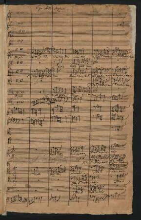 Dixit Dominus; V (5), strings, bc; C-Dur