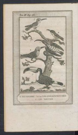 Tafel: 1. Le colibri. 2.3.4. Les oiseaux-mouches. 5. Le toucan