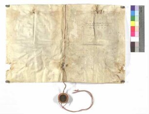 Notariatsinstrument über die Besitzergreifung von dem nach Erlöschung des rechbergischen Mannsstammes dem Stift Ellwangen heimgefallenen Lehen Heuchlingen.