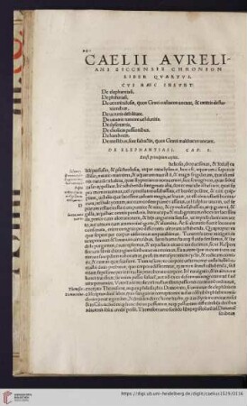Liber Qvartvs