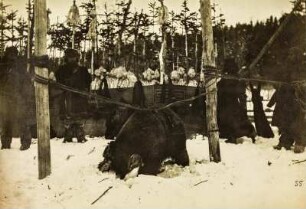 Bärenkult der Ainu (Sammlung Bronislaw Pilsudski, 1887-1905 - Bärenkult der Ainu)