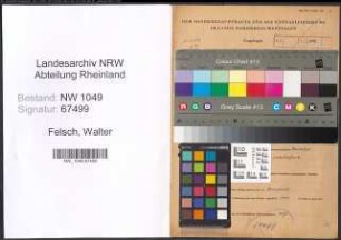 Entnazifizierung Walter Felsch , geb. 30.07.1908 (Kaufmaennischer Angestellter)
