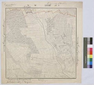 [Dominikal- und Zehntrenten der Standesherrschaft Löwenstein-Wertheim-Rosenberg in der Steuergemeinde Billingshausen (Topograph. Karte 1:2500)