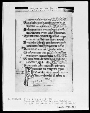 Psalter aus Waldkirch bei Freiburg — Initiale A (fferte), Folio 33 verso