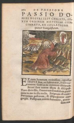 Passio Domini Nostri Iesu Christi ...