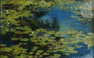 Teich mit Seerosen