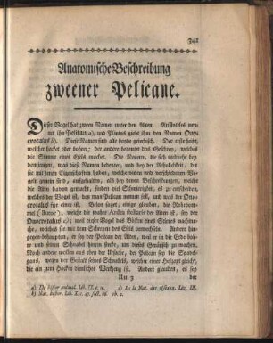 Anatomische Beschreibung zweener Pelicane