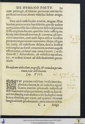 Cap. VIII. - XIV.