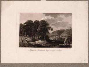 Ansicht der Weinberge in Radebeul-Oberlößnitz, Blick von dem Gasthof "Weißes Roß" an der Meißner Str. 148 auf das Spitzhaus