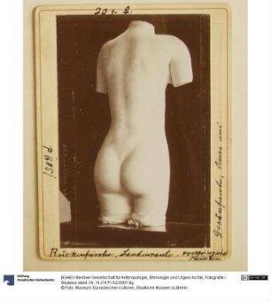 Fotografie / Skulptur