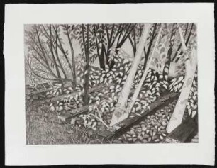 Radierung des Künstlers Erhard Groß, Titel: Schienenvegetation, Ed. 2/30, 1990