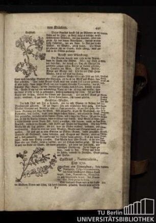 Cap. 270. Egelkraut, Nummularia.