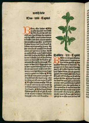 43v-44r, Basilien (65. Kapitel)