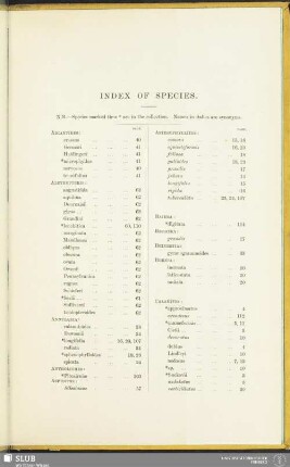 Index of species