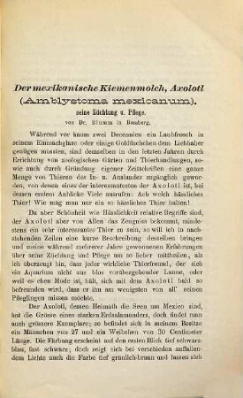Der mexikanische Kiemenmolch Axolotl, (Amblystoma mexikanum), seine Züchtung und Pflege