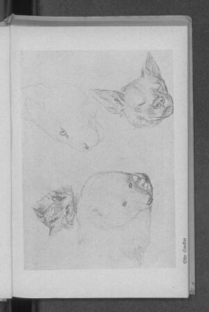 Otto Speckter