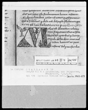 Epiphanius Latinus, Interpretatio evangeliorum — Initiale M(elius est), Folio 125recto