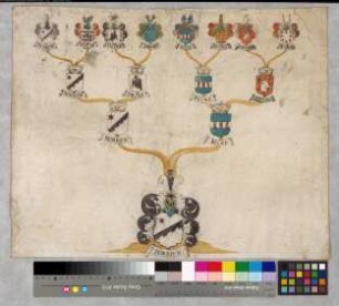 Proband: Morrien, - von; Vater: Morrien, [Wilhelm] von; Mutter: Recke, [Elisabeth] von der: Münster, Fbstm, Ritterschaft