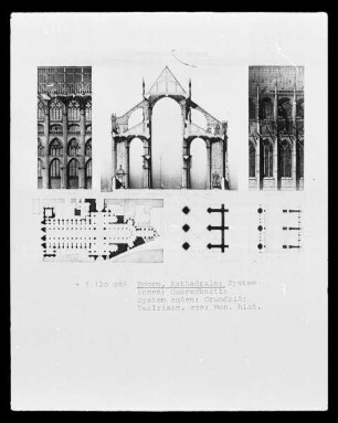 Die Kathedrale Notre-Dame in Rouen: Querschnitt