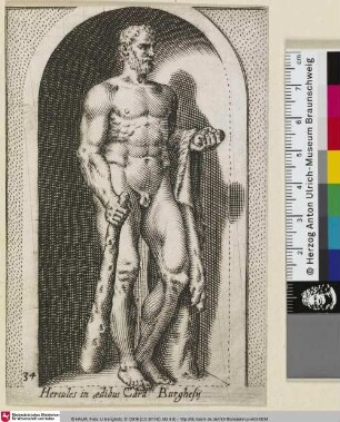 Hercules in ædibus Card. Burghesij