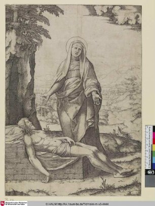 [La Vierge pleurant le corps mort de Jésus Christ; Maria beweint den toten Christus]