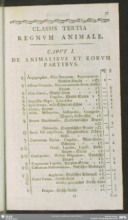 Classis Tertia Regnum Animale