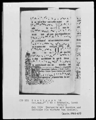 Graduale (Benediktinerhandschrift) — Rankenbordüre mit Storchennest, Folio 159verso