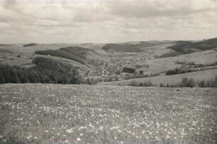 Geising und Mückentürmchen vom Hang des Geisingberges