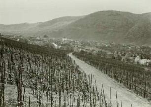 Winningen, Weinberge