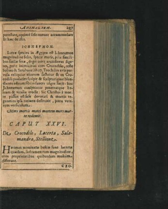 Caput XXVI. De Crocodilo, Lacerta, Salamandra, Stellione.