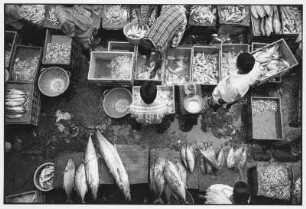 Thiruvananthapuram. Fischhändler