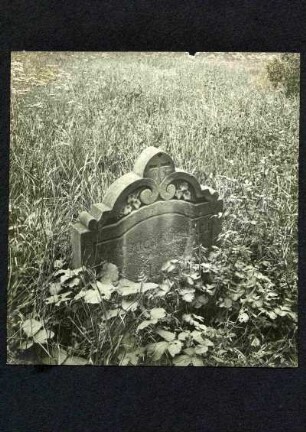 Friedhof, Grabstein. Fr. Aug