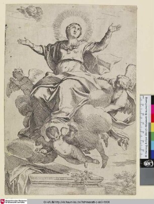 [L'assomption de la Ste. Vierge; Himmelfahrt Mariens]