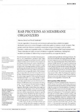 Rab proteins as membrane organizers