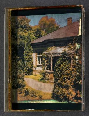 Richard Neuhauss: Garten