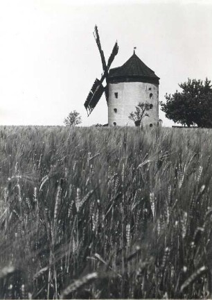 Windmühle in Rodewitz : Bauwesen - Handwerksgebäude. Ort: Rodecy / Rodewitz (bei Hochkirch). Windmühle