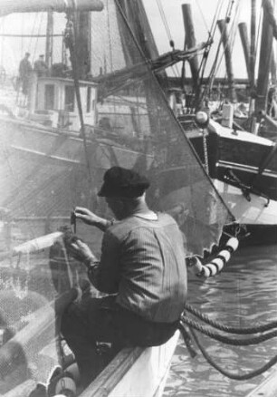 Büsum. Hafen. Krabbenfischer beim Netze flicken
