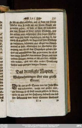 Das dreysigste Kapitel. Wahrnehmungen über eine grosse Spinne.