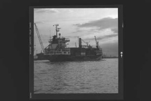 Dalsa v. St. Wiking ex Jorg Eagle (1984), MS ?Wiking? Reederei Tamke GmbH & Co., Hamburg