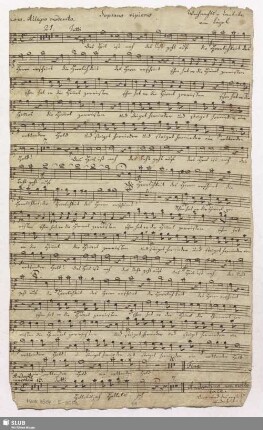 Soprano ripieno.