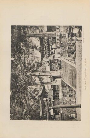 Aus dem Tempelhaine zu Nikko