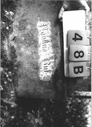 Grabstein 48 (Index: 99799505) Material: Sandstein, Schriftplatte Marmor Zustand: leicht verwittert Maße HxBxT: 154x49x20 cm Beschreibung: Stele, eingezogener Stelzbogenabschluß, eingelassene Schriftplatte mit Kleeblattbogenabschluß, getreppter Sockel Symbolik: Voluten, Ranken: Grabstein 48B
