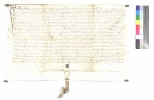 Verkauf von Weingärten zu Markdorf und in der Umgegend durch Hans Irsing an Kloster Wiblingen