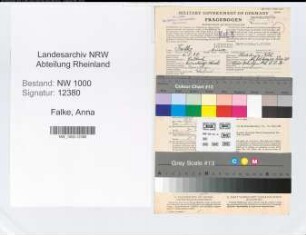 Entnazifizierung Anna Falke, geb. 06.05.1898 (Verw.Gehilfin)