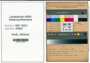 Entnazifizierung Johanna Koob, geb. 02.08.1900 (Buchhalterin)